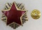 Yugoslavia JNA Army Officers Visor Cap Badge