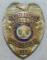 Scarce & Obsolete Vintage South Carolina, Darlington County Deputy Sheriff Badge-Numbered