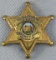 Scarce & Obsolete Vintage Nevada Sheriff's Dept. Correctional Officer Numbered Badge