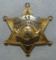 Scarce & Obsolete Vintage Erie County, NY Deputy Sheriff Numbered Badge