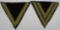 2pcs-Waffen SS Uniform Sleeve Stripes