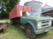 245. 1971 Chevrolet C50 Two Ton Grain Truck, 350 Gas V8, 4 X 2 Transmission, Edelbrock Four Barrel, 