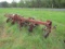 1906. 3 Point 4 Row Wide Danish Tooth Cultivator