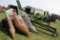 967. Oliver # 3 Two Row Wide Corn Picker
