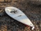 964. OLDER FORCE 5 SAIL BOAT