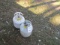 970. (2) 20 POUND PROPANE TANKS, ONE IS FULL