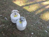 970. (2) 20 POUND PROPANE TANKS, ONE IS FULL