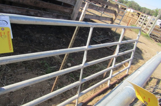 1294. 10 FT. FARM GATE