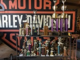 Lot of misc trophy collection
