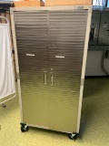 2 door metal Cabinet 36