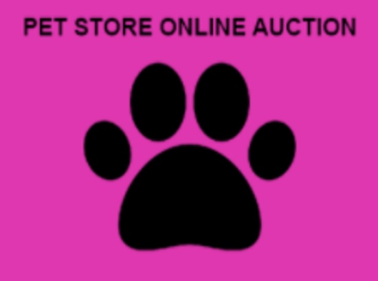 Pet Store Online Auction in Meriden, CT