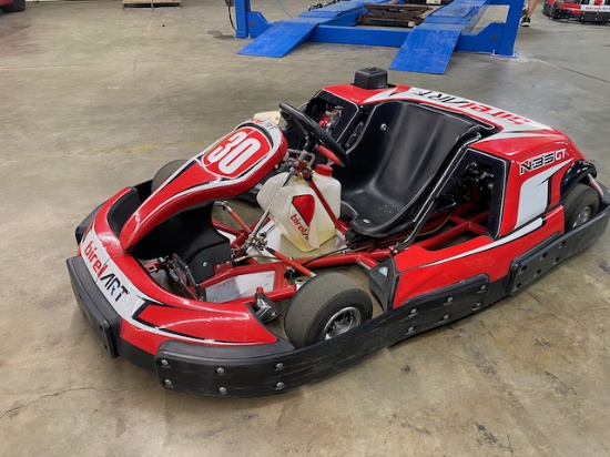 Birel ART N-35 GT Go Kart - Party Kart Series