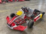 Birel ART RY30 S9 Race Series Go Kart