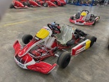 Birel ART RY30 S9 Race Series Go Kart