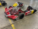 Birel ART RY30 S9 Race Series Go Kart