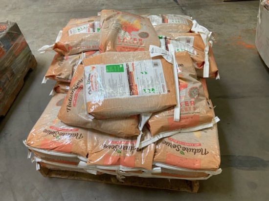 Lot of Chicken feed
