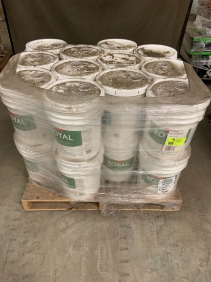 Lot of (24) Exterior paint and primer (5) Gallons