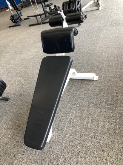 Precor Icarian Adjustable Decline Bench