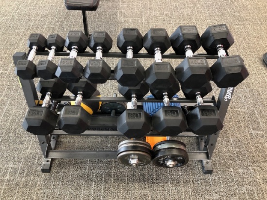 Weight Rack w/ Rubber Hex Dumbbells (Over 645LBs of Weights)