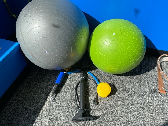 (2) Exercise Balls & (2) Pumps