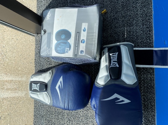 Everlast Boxing Gloves & Punch Mits