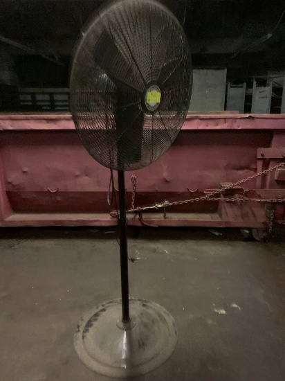 Fan