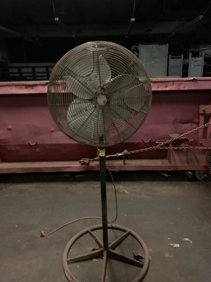 Fan