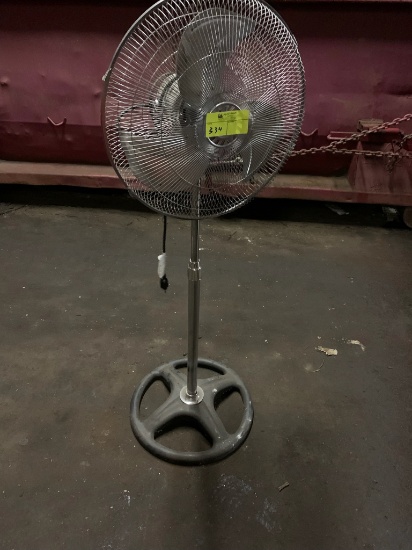 Fan