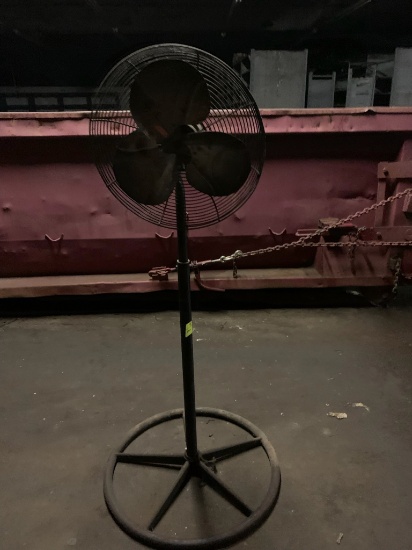 Fan