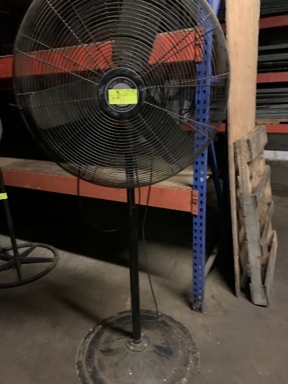 Fan