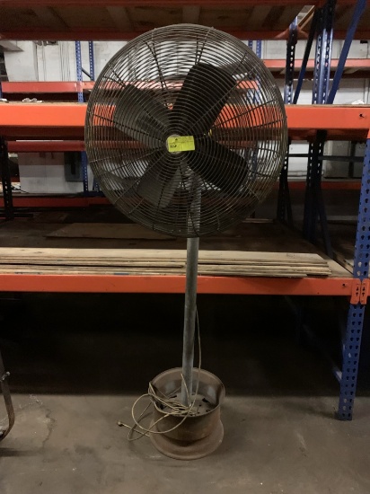 Fan