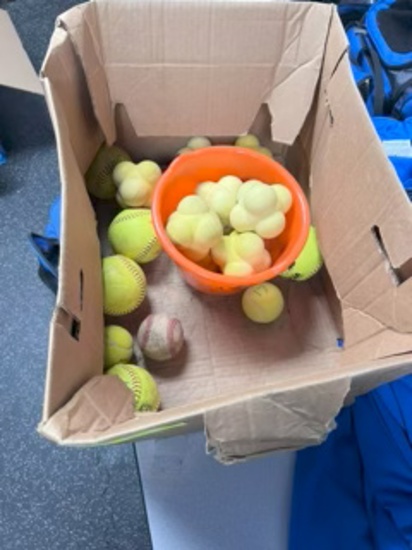 Loc: 2. Lot of Reflex/Reaction Balls + Other Various Practice Balls. This lot is located at: 535 Sum
