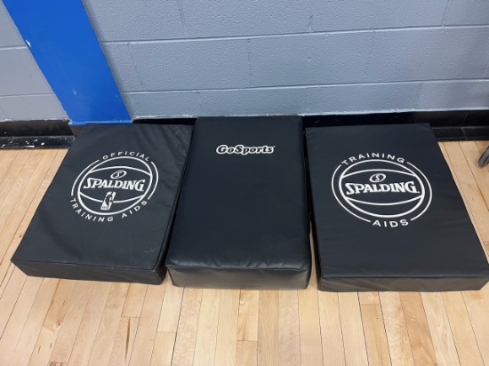 Loc: 2, Court. 3 Basketball training pads. This lot is located at: 535 Summit St Hancock, MI 49930