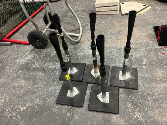 Loc: 2, Court. Baseball Tee Stands (5). This lot is located at: 535 Summit St Hancock, MI 49930