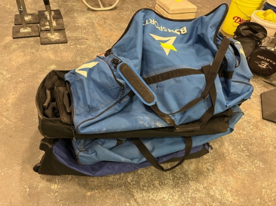 Loc: 2, Court. 4 assorted baseball bags. This lot is located at: 535 Summit St Hancock, MI 49930