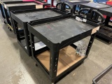 2 Tier Plastic Cart