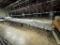 BestFlex Expandable Metal Skate Wheel Conveyor w/ Fan & Cooling Schute