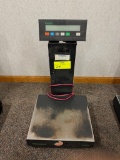 Toledo Digitol Scale 100 LB Capacity