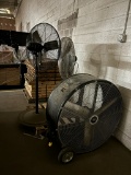 Loc: 2. Various Fans