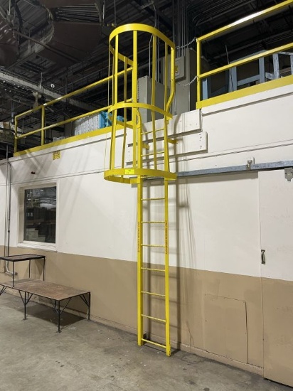 10 Step Warehouse Steel Caged Walk Through Fixed Access Ladder with 20' Safty Railing