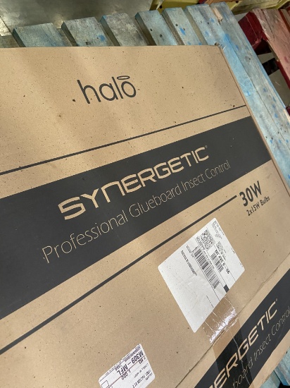 Synergentic Professional Glueboard Insect Control