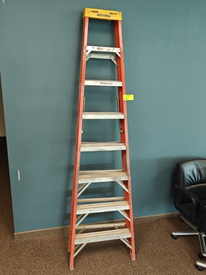Werner Fiberglass and Metal Ladder