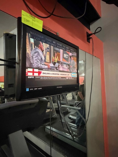 19" Sylvania TV