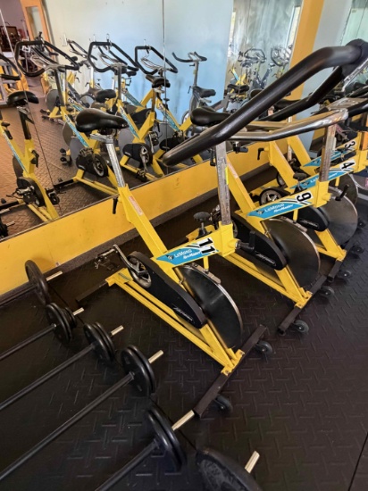 Life Fitness LeMono RevMaster Spin Bike