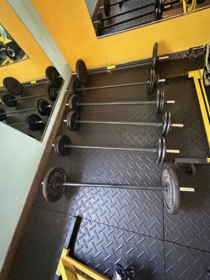 Lot of 6 Barbells with weight