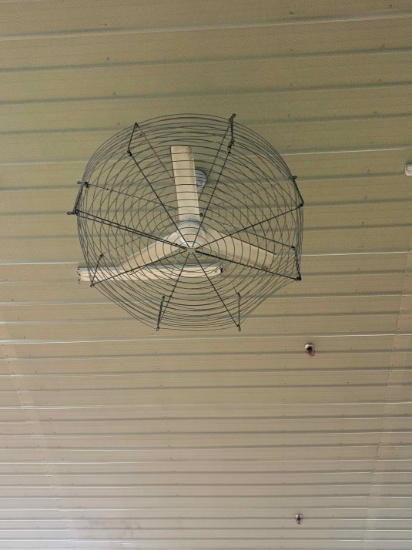 Lot of 2 Commercial Ceiling Fans