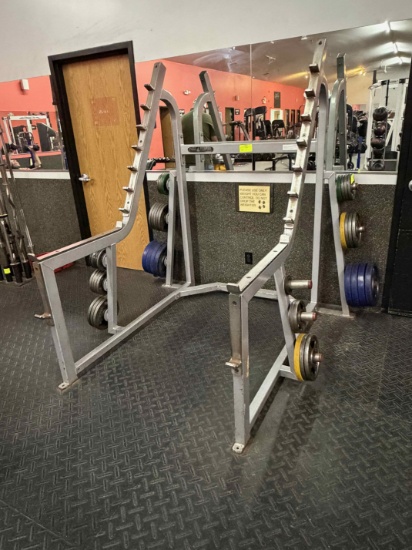 Flex Fitness Squat Rack
