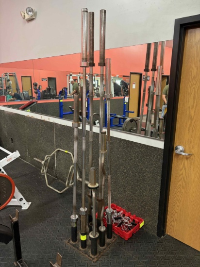 Olympic Bar Stand & Bars