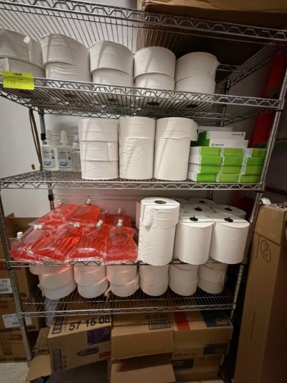 Wire shelves and cleaning supply contents