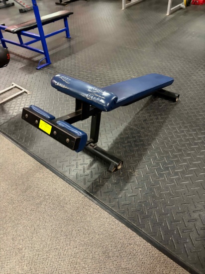 Cybex Decline Bench